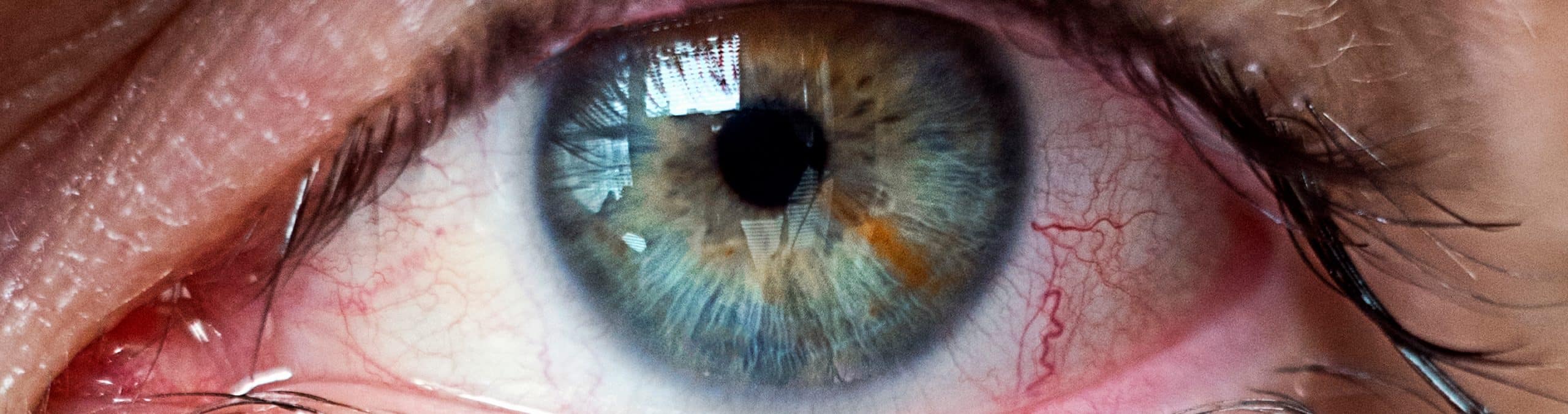 Close up portrait human eye 1