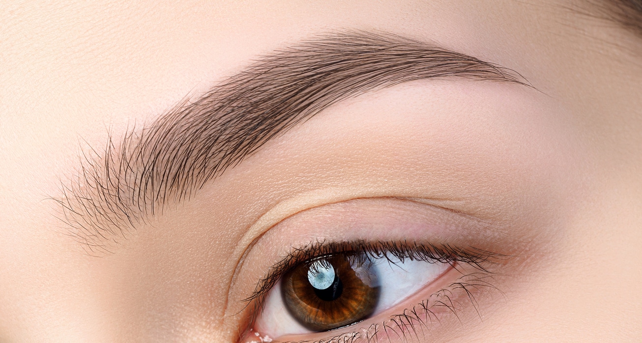 Close up view beautiful brown female eye perfect trendy eyebrow good vision contact lenses brow bar fashion eyebrow…